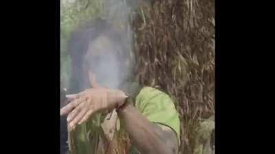 Will Smith finds a weed forest