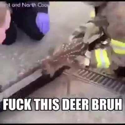 F**k deers one time I got bite by dear!!! 🤬🤬😡😡😈👿👿😈😈🤬