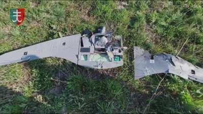 Strela 10 crew of the 35th Marine Brigade destroyed the Russian reconnaissance drone Supercam. Kherson region. (End of April 2024)