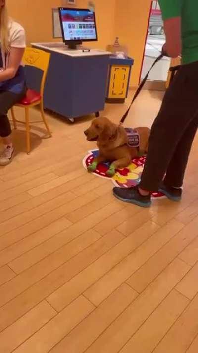 Bailey passed her service test, so we took her to pick out her own build a bear [OC]