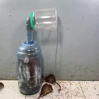 An interesting way to catch mice