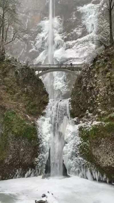 Multnomah Falls in Oregon looks like you're halfway to Rivendell.