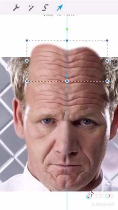 Gordon big brain