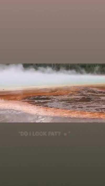 Went to Yellow Stone National Park and captured this funny audio from behind me