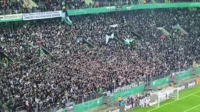 Gladbach crowd partying with the players after beating Bayern in the Pokal