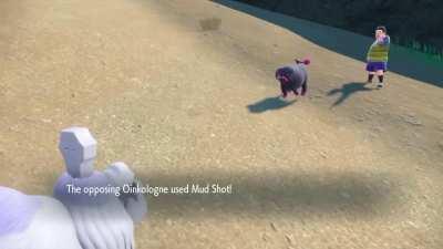 The animation for the move Mud Shot met expectations