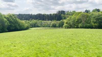 Saw a huge herd of a deer while doing my DofE expedition