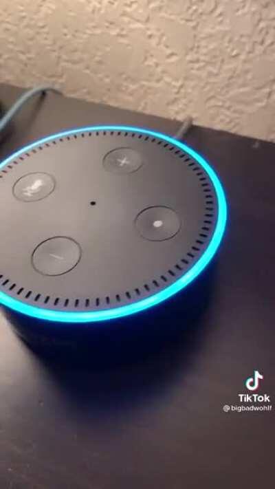 Who knew Alexa had a fart fetish.