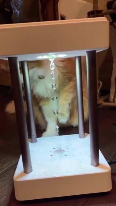 Cat vs ant-gravity water drops