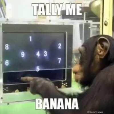 Monke time