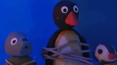 The Pingu Tapes [REDACTED]