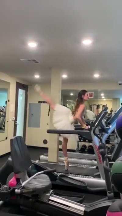 Pointeontreadmill GIF | Gfycat