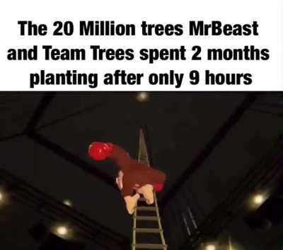 41 million trees are destroyed each day and Jimmy likely knew this 