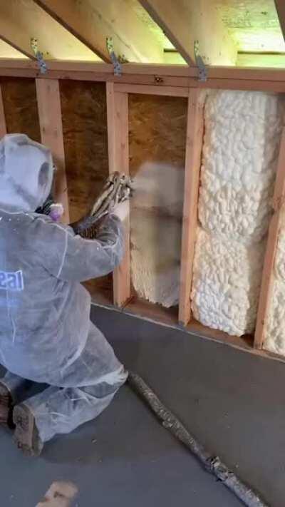 Spray Foam insulation