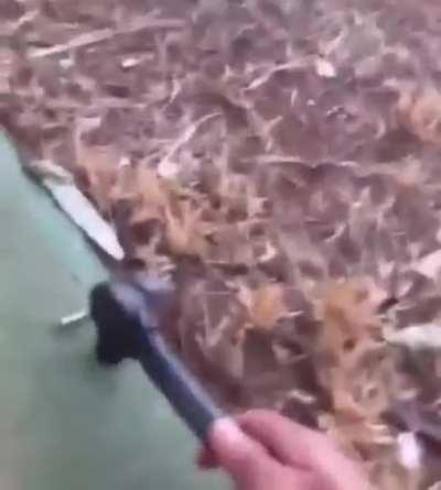 crushing a bullet with hammer