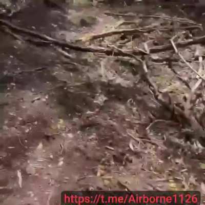 25th Separate Airborne Sicheslav Brigade watching a downed Russian soldier through the drone's video, and misc short footage. Pokrovsky direction