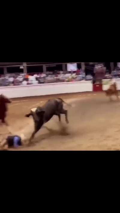 To get the bull under control 