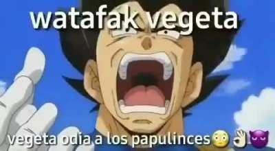 VEGETA ESTA DE NUESTRO LADO