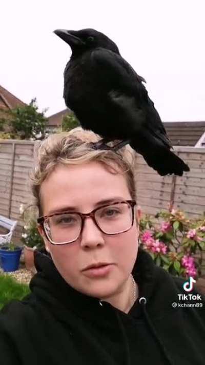 Woman has crow on her head