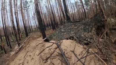 Brazilian soldier of the 2nd International Defense Legion of Ukraine fighting against Russian troops in the Kreminna forest, Luhansk Oblast. September 2024