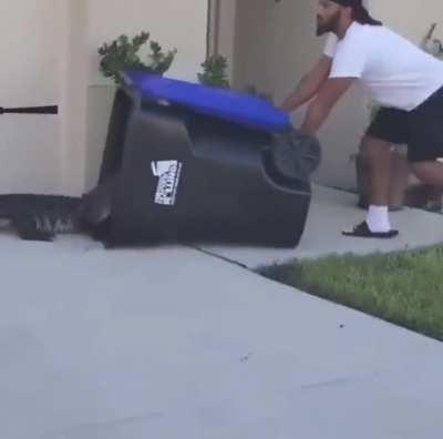This guy captured an alligator with a trash can