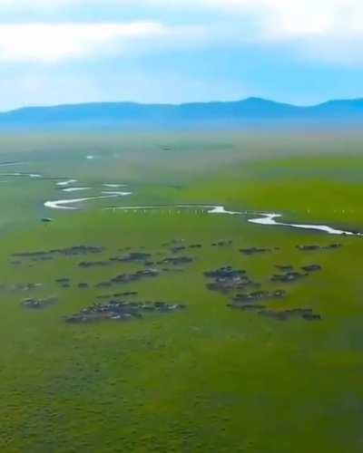 🔥 Wild horses in Mongolia