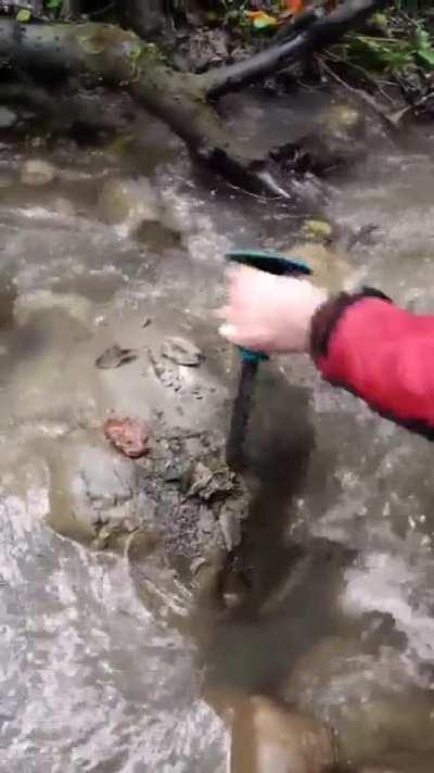 Hey! You ever seen a geologist find a fossil in the middle of a creek or river by breaking open a rock?