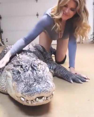 Apparently a lady trying to perform a massage on an alligator?