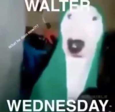 It’s Wednesday my dudes