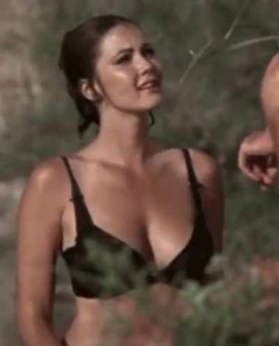 Lynda Carter