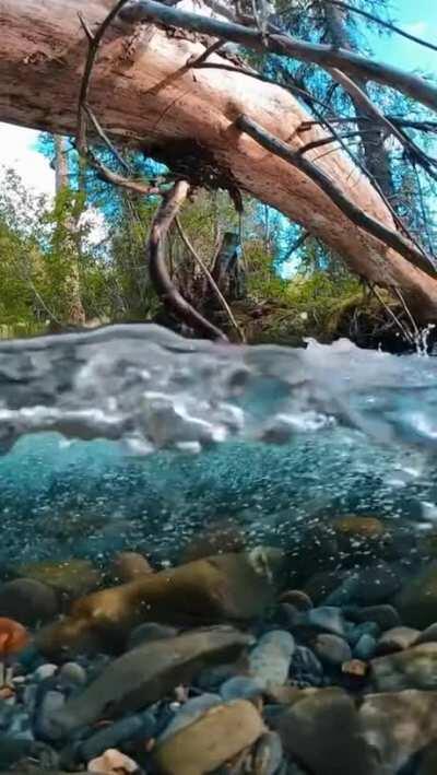 A beautiful stream of water.