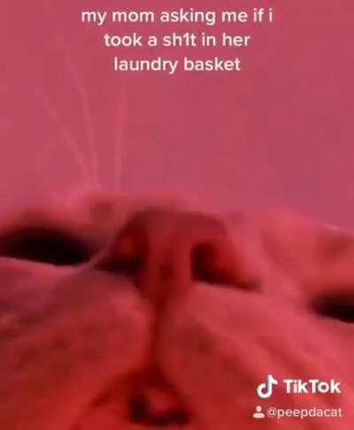 Laundry basket