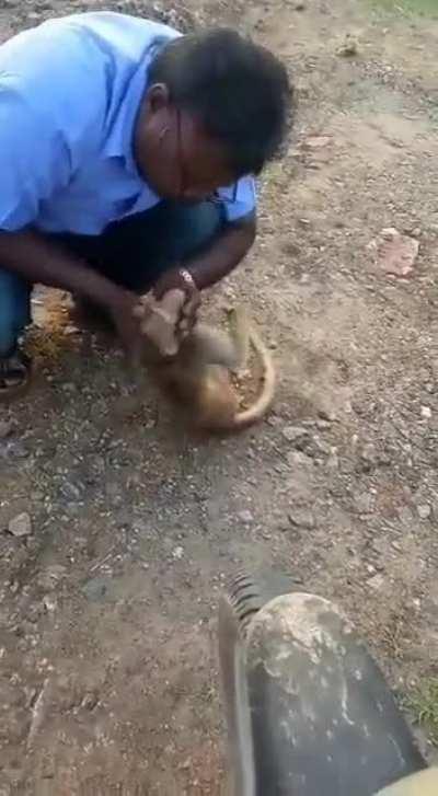 Man resuscitate a 8 month old macaque which was attacked by a group of dogs.