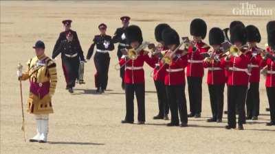 King's Guard trombonist faints before getting back up and continuing to play