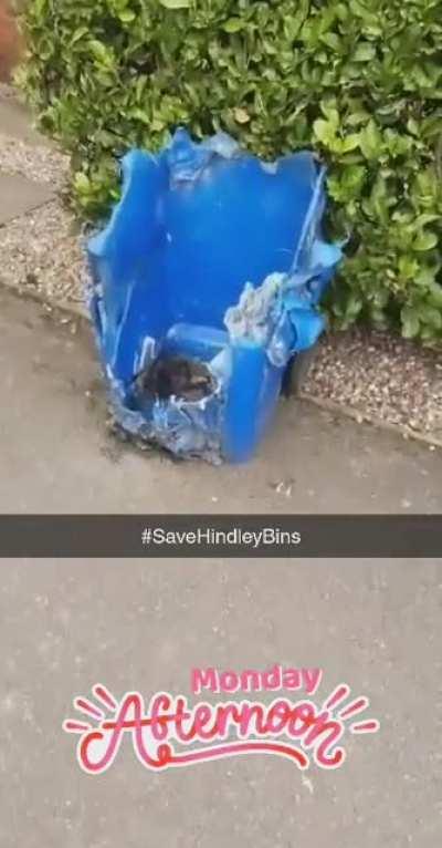 Standard wigan bins