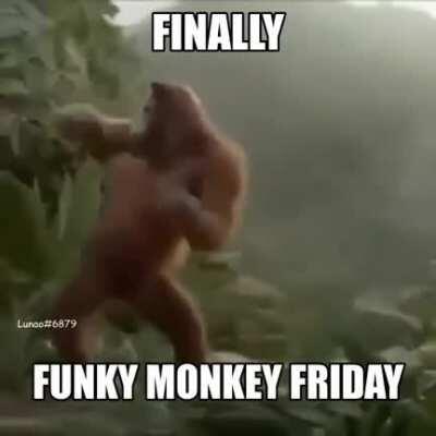 Happy Funky Monkey Friday, everyone!