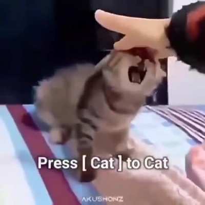 Press [Cat] to Cat