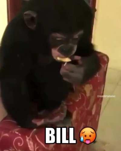 ‪ngl Bill lookin handsome af tho🥵🥰no homo💯🔥🚬🐒‬