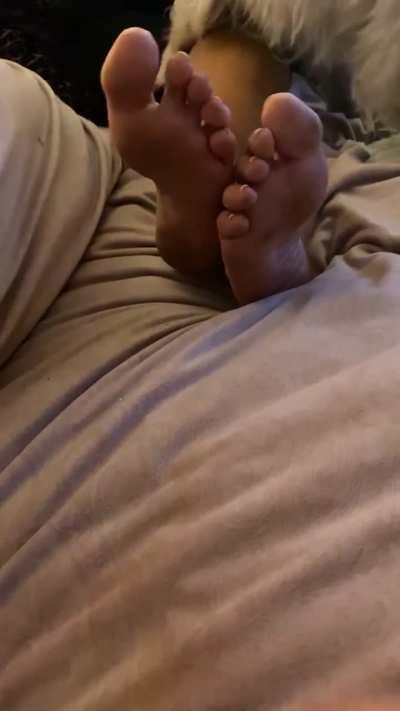 more auntie soles