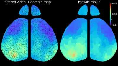 Optimized Compression and Time Series Extraction of Neural Activity Patterns