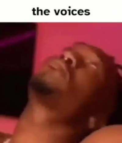 The Voices