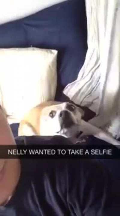 Nelly just wanted to take a selfie