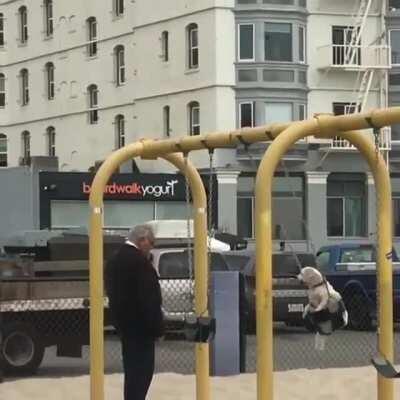 Just an old man pushing his dog on a swing