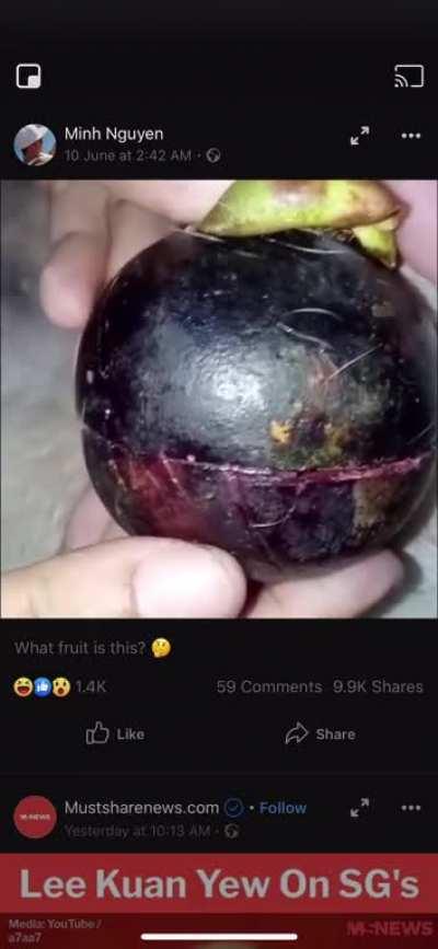 What fruit is this ?