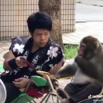 Just a human and a monke.. chilling.