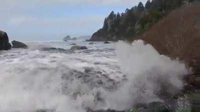 🔥 A sneaker wave is a disproportionately large coastal wave that can appear in a wave train without warning. This video was shared by Marcella Ogata-Day to help bring awareness of the dangers of sneaker waves