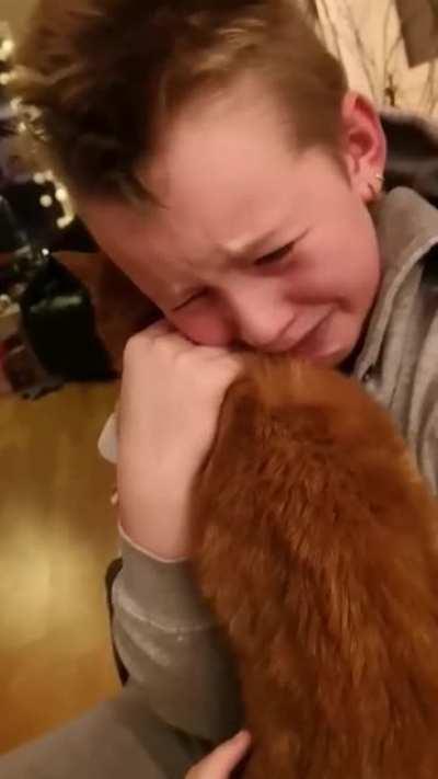 Boy Reunited With His Lost Cat After Seven Months