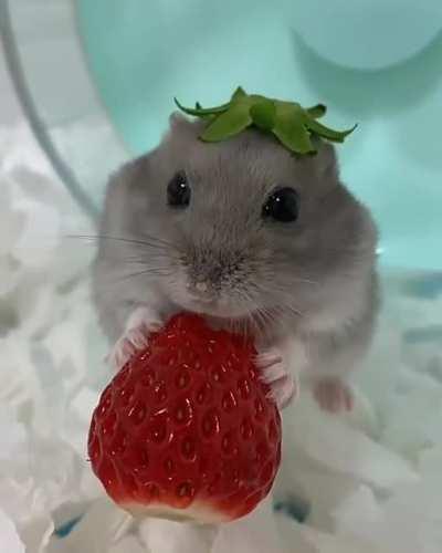 strawberry hat.