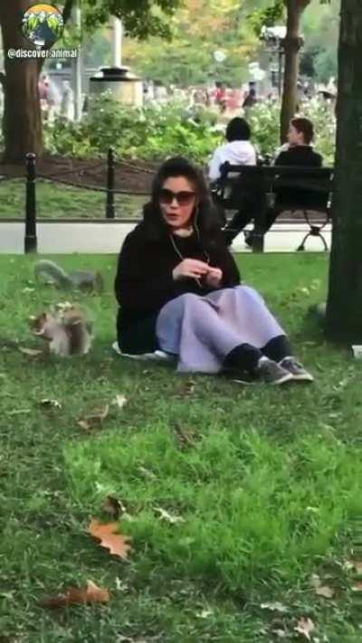 When you feed a squirrel and suddenly you're a Disney princess: