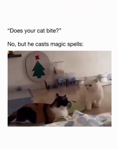 Magic Wunk